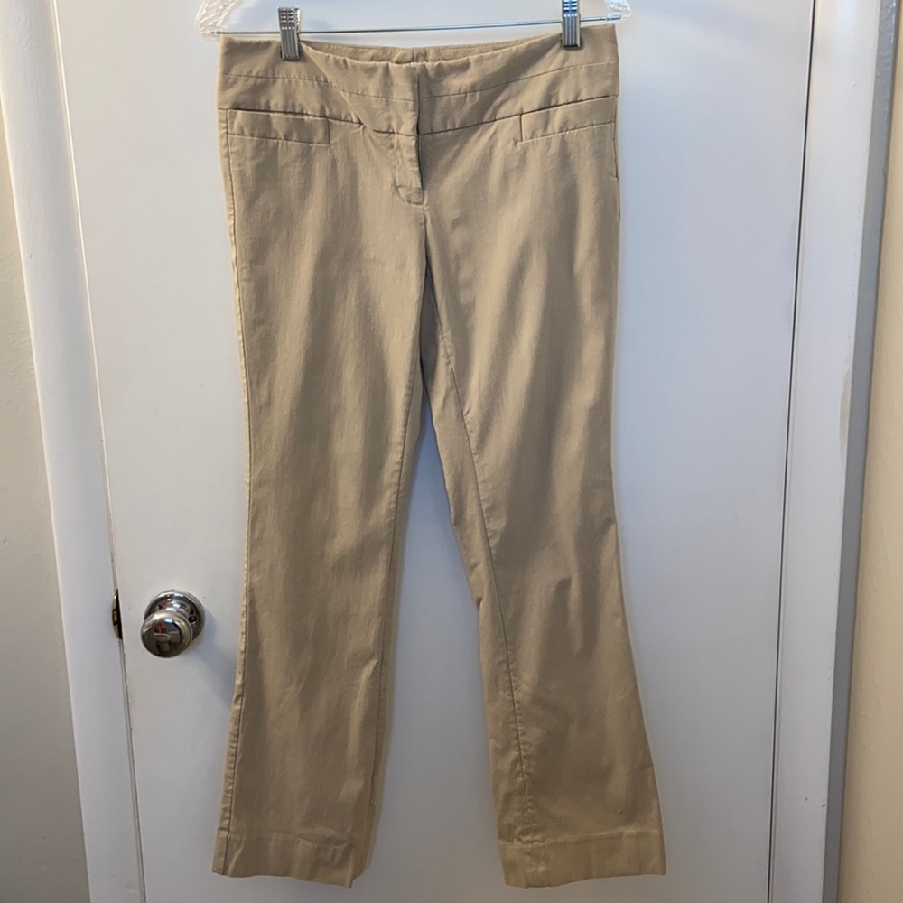 The Limited pants
